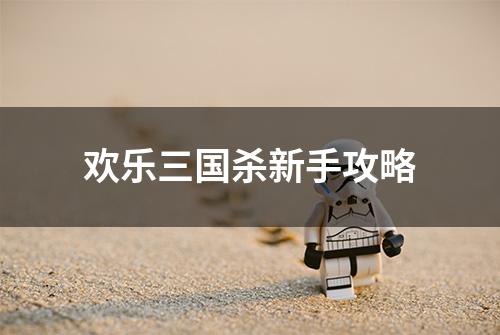 欢乐三国杀新手攻略