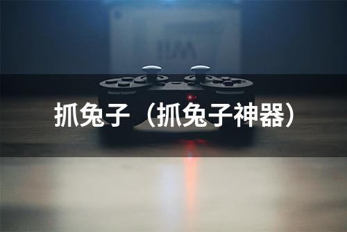 抓兔子（抓兔子神器）