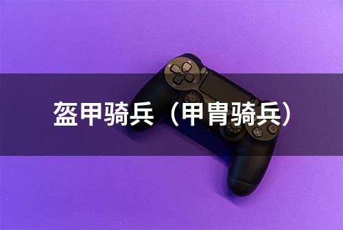 盔甲骑兵（甲胄骑兵）