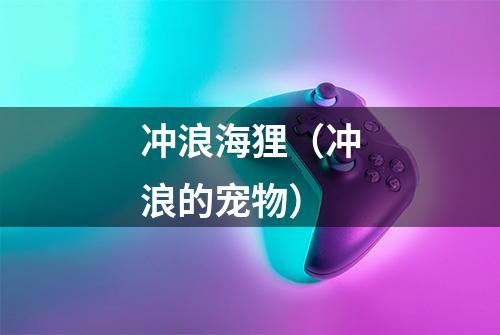 冲浪海狸（冲浪的宠物）