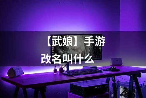 【武娘】手游改名叫什么
