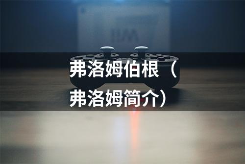 弗洛姆伯根（弗洛姆简介）