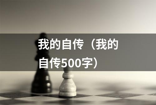 我的自传（我的自传500字）