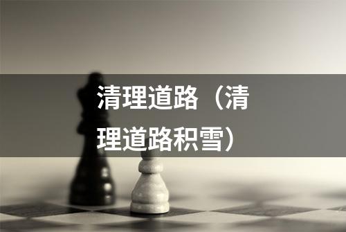 清理道路（清理道路积雪）