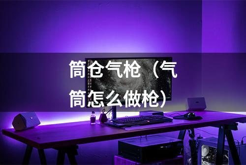 筒仓气枪（气筒怎么做枪）