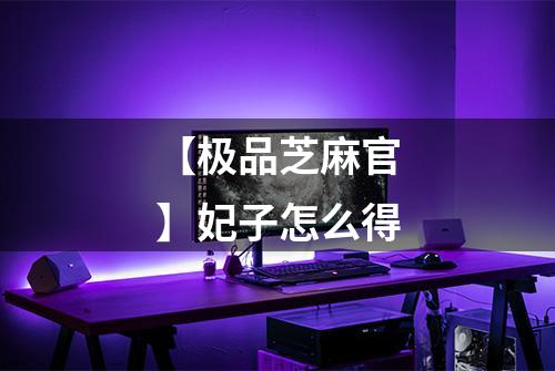 【极品芝麻官】妃子怎么得