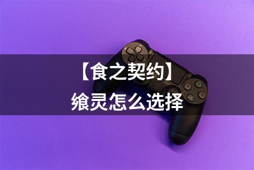 【食之契约】飨灵怎么选择