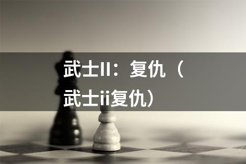 武士II：复仇（武士ii复仇）