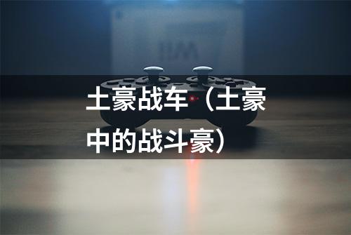 土豪战车（土豪中的战斗豪）