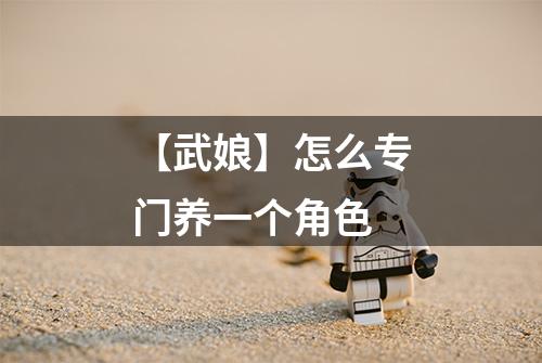 【武娘】怎么专门养一个角色