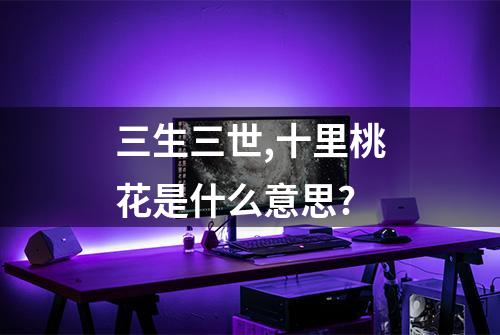 三生三世,十里桃花是什么意思?