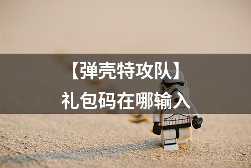 【弹壳特攻队】礼包码在哪输入
