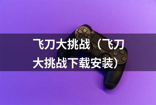 飞刀大挑战（飞刀大挑战下载安装）