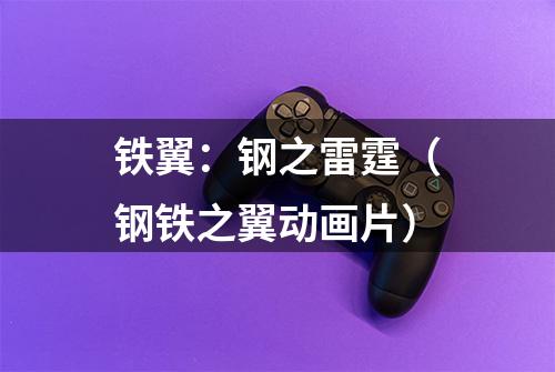 铁翼：钢之雷霆（钢铁之翼动画片）