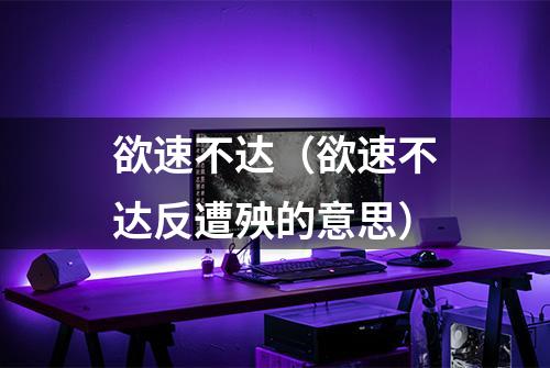 欲速不达（欲速不达反遭殃的意思）