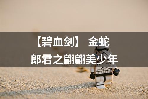 【碧血剑】 金蛇郎君之翩翩美少年