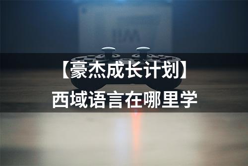 【豪杰成长计划】西域语言在哪里学