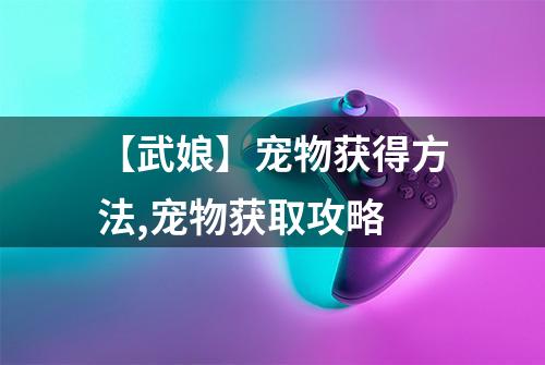 【武娘】宠物获得方法,宠物获取攻略