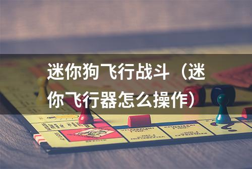 迷你狗飞行战斗（迷你飞行器怎么操作）