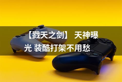 【戮天之剑】 天神曝光 装酷打架不用愁