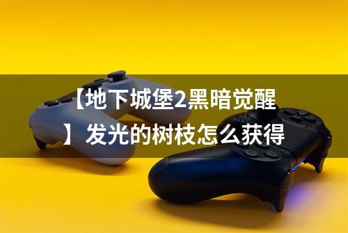 【地下城堡2黑暗觉醒】发光的树枝怎么获得