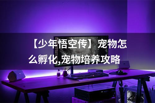 【少年悟空传】宠物怎么孵化,宠物培养攻略