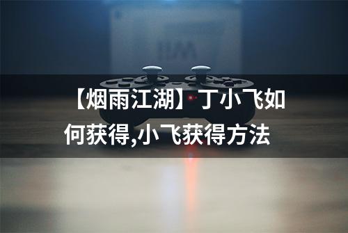 【烟雨江湖】丁小飞如何获得,小飞获得方法
