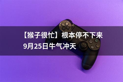 【猴子很忙】根本停不下来  9月25日牛气冲天