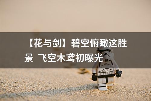 【花与剑】碧空俯瞰这胜景  飞空木鸢初曝光