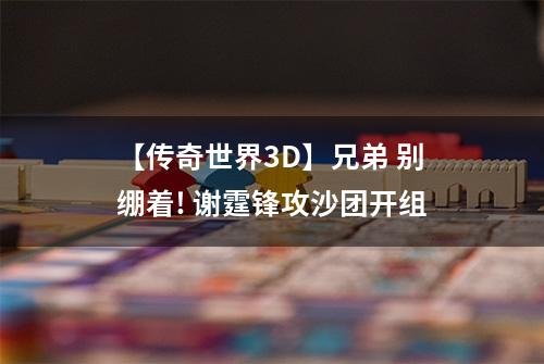 【传奇世界3D】兄弟 别绷着! 谢霆锋攻沙团开组