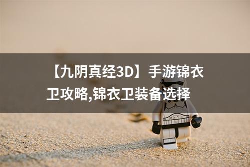 【九阴真经3D】手游锦衣卫攻略,锦衣卫装备选择