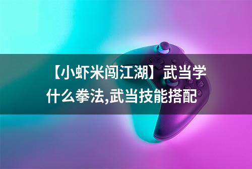 【小虾米闯江湖】武当学什么拳法,武当技能搭配