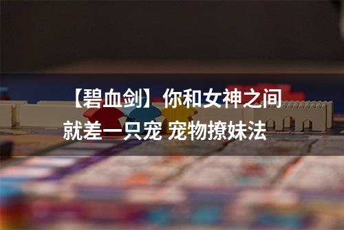 【碧血剑】你和女神之间就差一只宠 宠物撩妹法