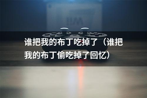 谁把我的布丁吃掉了（谁把我的布丁偷吃掉了回忆）