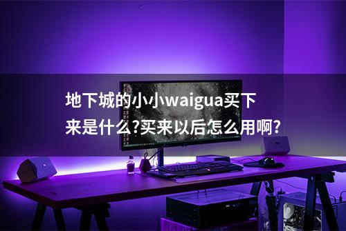地下城的小小waigua买下来是什么?买来以后怎么用啊?