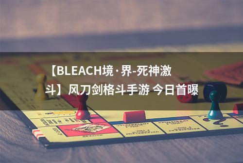 【BLEACH境·界-死神激斗】风刀剑格斗手游 今日首曝