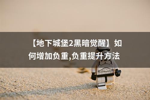 【地下城堡2黑暗觉醒】如何增加负重,负重提升方法