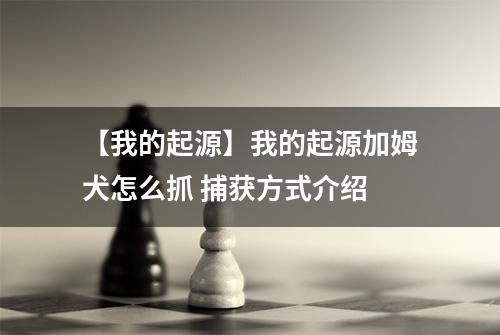 【我的起源】我的起源加姆犬怎么抓 捕获方式介绍