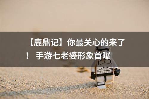 【鹿鼎记】你最关心的来了！ 手游七老婆形象首曝