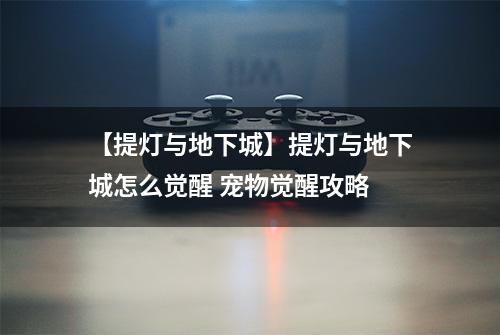 【提灯与地下城】提灯与地下城怎么觉醒 宠物觉醒攻略