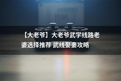 【大老爷】大老爷武学线路老婆选择推荐 武线娶妻攻略