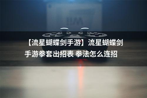 【流星蝴蝶剑手游】流星蝴蝶剑手游拳套出招表 拳法怎么连招