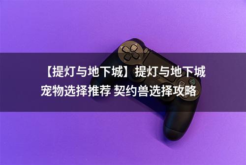 【提灯与地下城】提灯与地下城宠物选择推荐 契约兽选择攻略