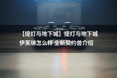 【提灯与地下城】提灯与地下城伊芙琳怎么样 全新契约兽介绍