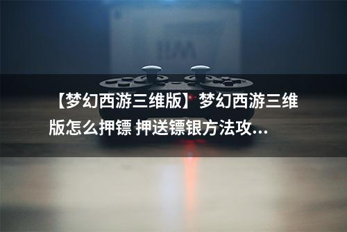 【梦幻西游三维版】梦幻西游三维版怎么押镖 押送镖银方法攻略