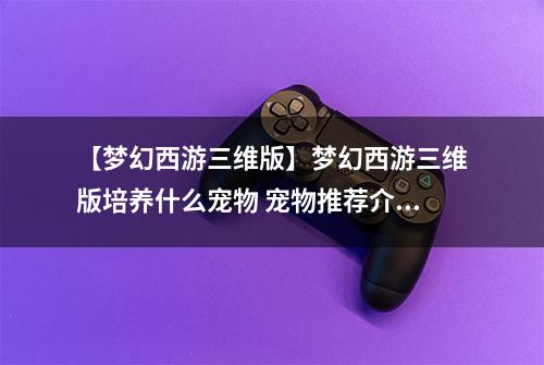 【梦幻西游三维版】梦幻西游三维版培养什么宠物 宠物推荐介绍