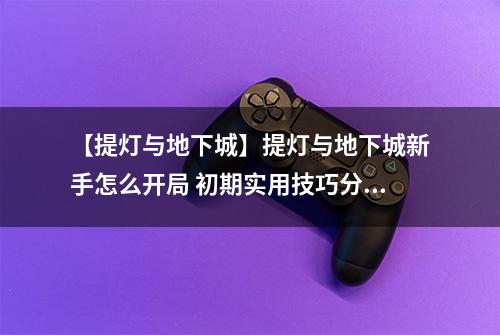 【提灯与地下城】提灯与地下城新手怎么开局 初期实用技巧分享
