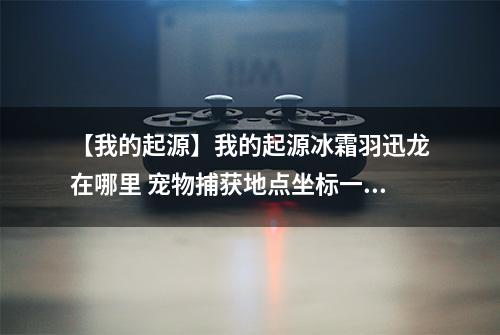 【我的起源】我的起源冰霜羽迅龙在哪里 宠物捕获地点坐标一览