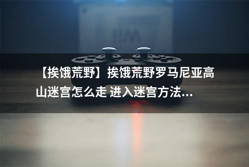 【挨饿荒野】挨饿荒野罗马尼亚高山迷宫怎么走 进入迷宫方法攻略