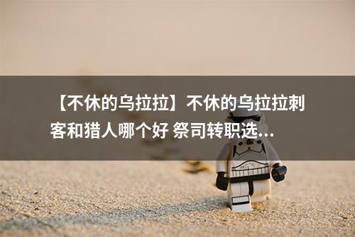 【不休的乌拉拉】不休的乌拉拉刺客和猎人哪个好 祭司转职选择介绍